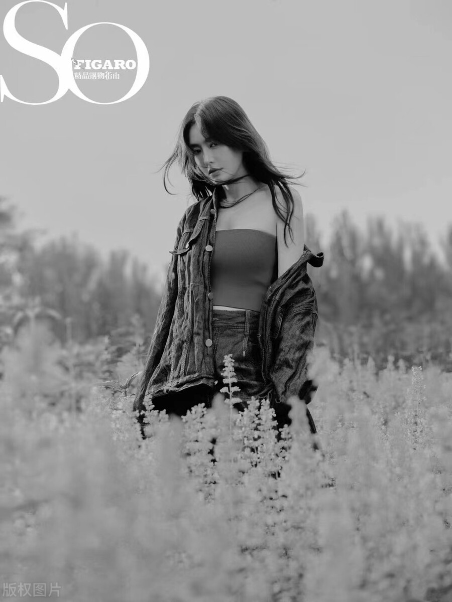 秦岚《SoFigaro》杂志大片置身于花海率性自如