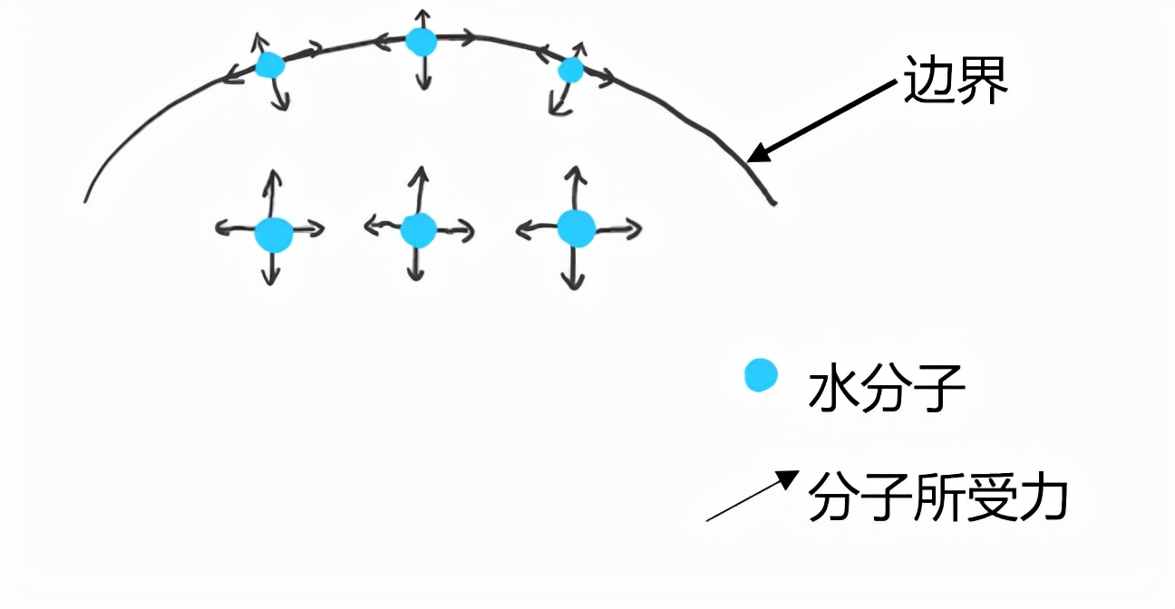 为什么肥皂水能吹出泡泡来？