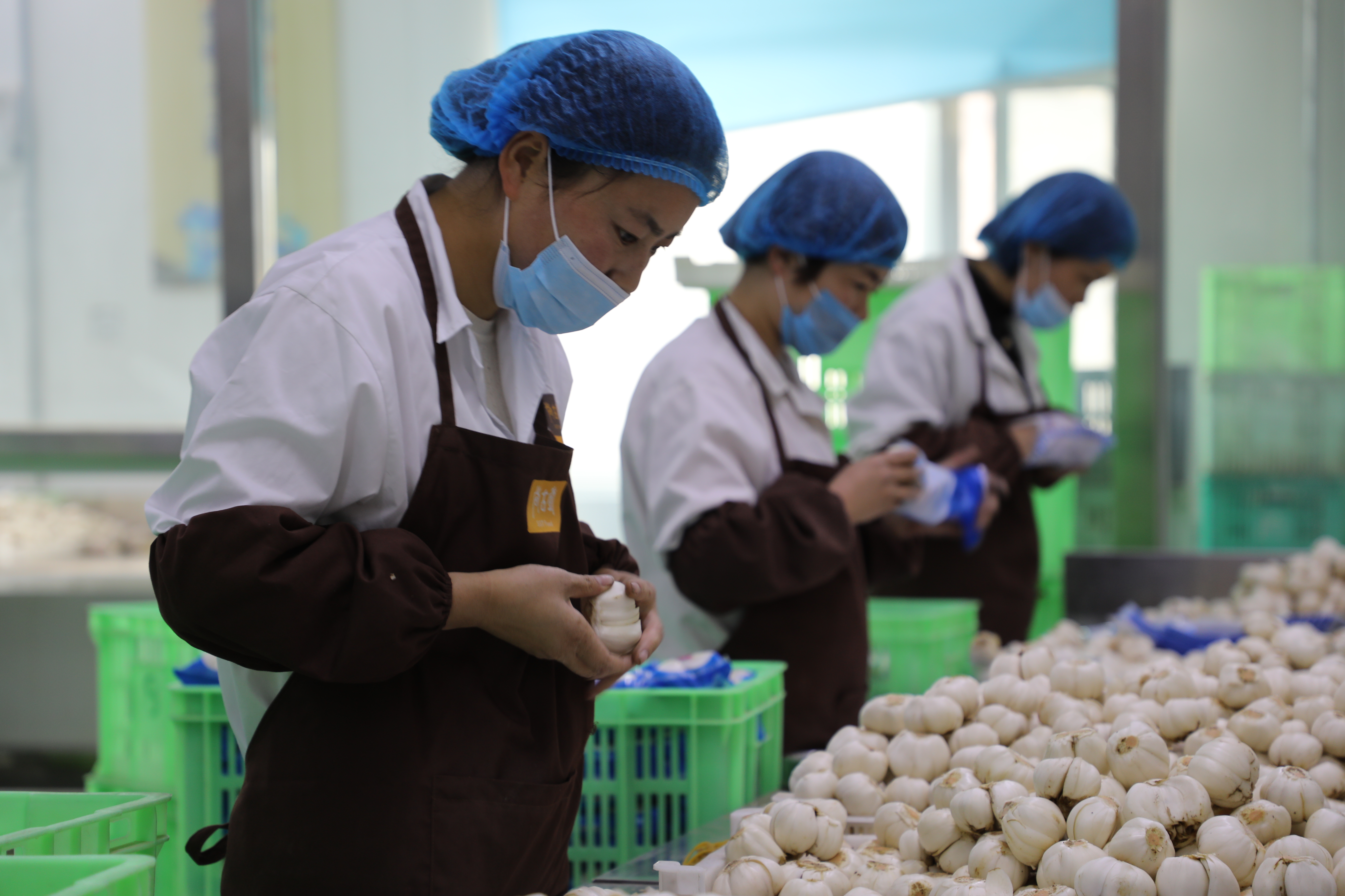 兰州有机食品：绿色生态的新篇章