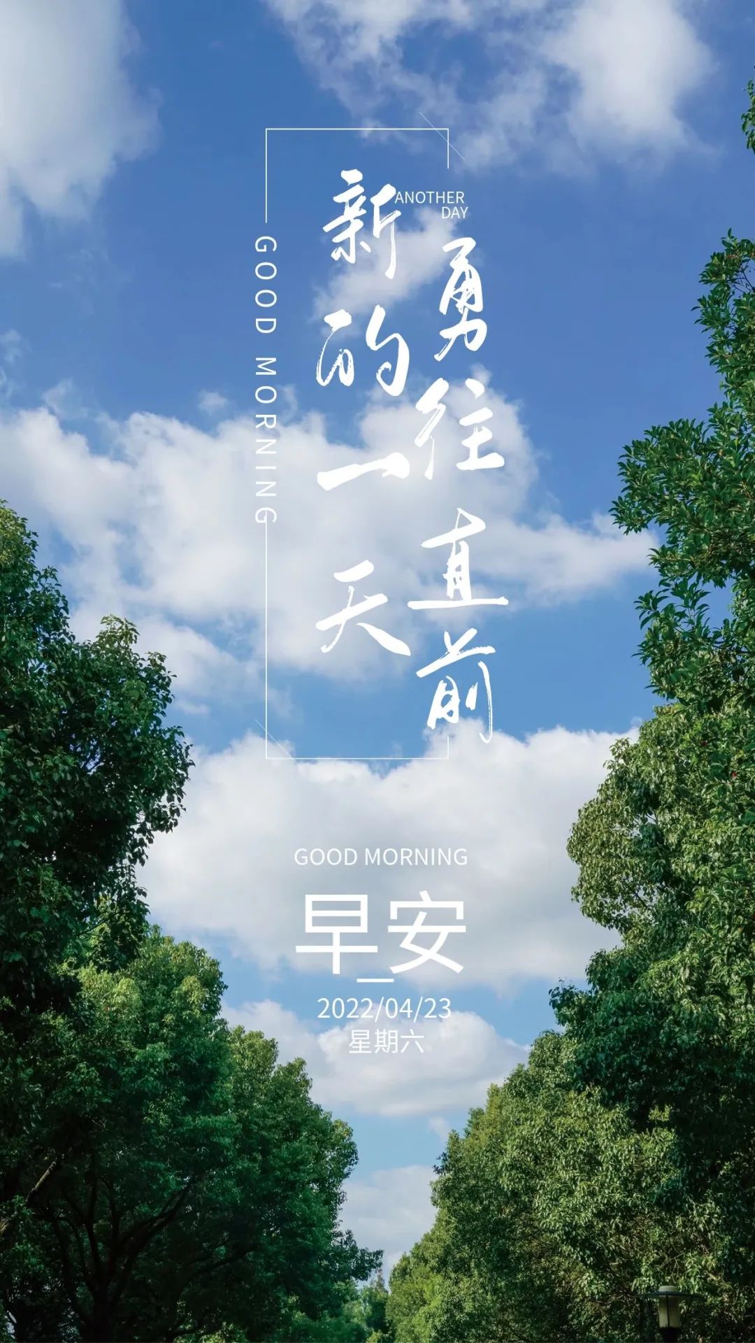 「2022.04.23」早安心语，世界读书日努力奋斗句子 早上好问候图片