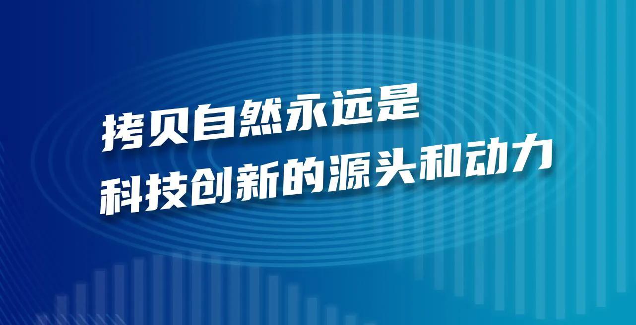 林左鸣：元宇宙应该是数字平行世界