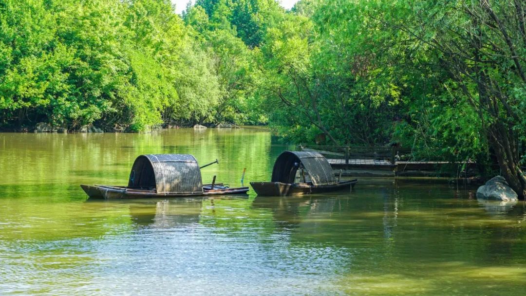 10首最美夏至诗词，凉风送爽，池清荷香，温柔了整个夏天
