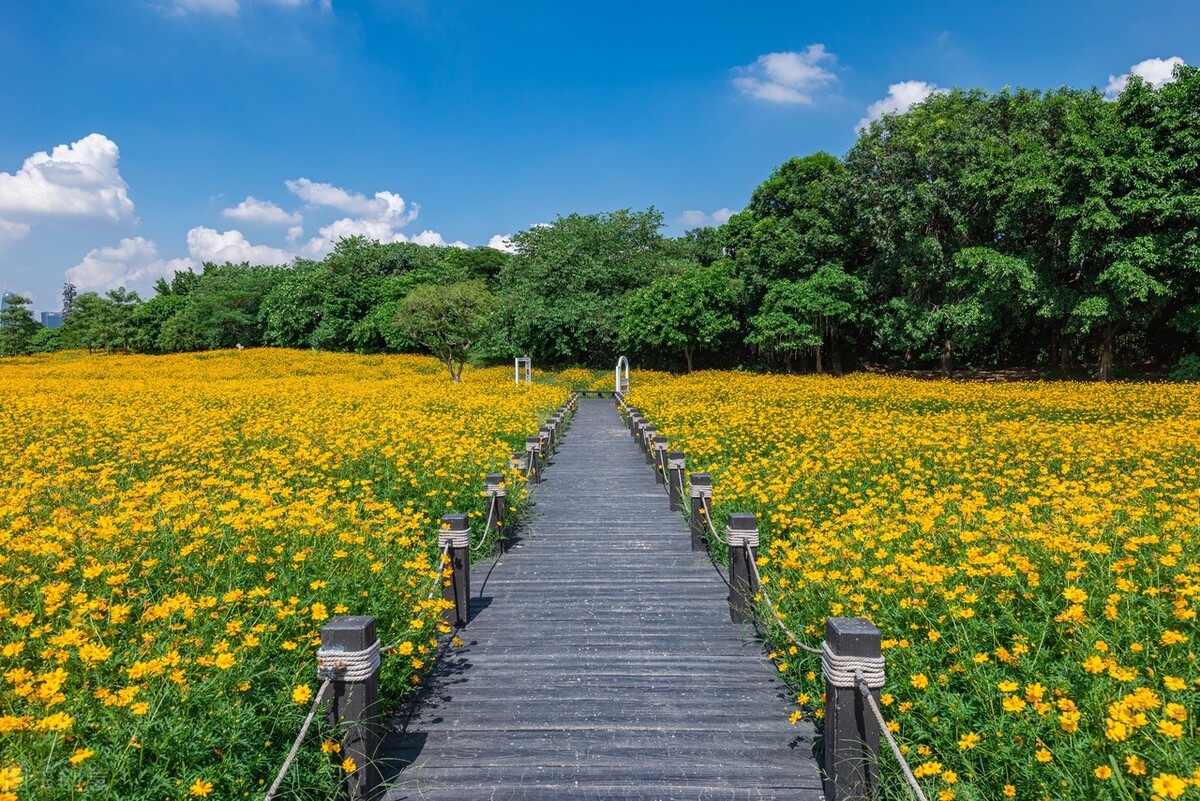 自然唯美风景美图