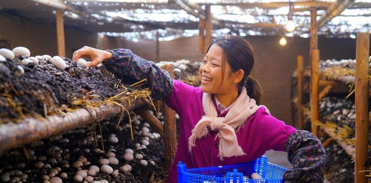 同样演“妈妈”，把张雨绮、殷桃、宋祖儿放在一起，差距清晰可见