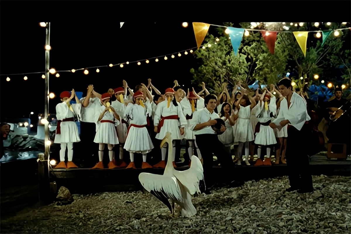 读碟 | 男孩与鹈鹕