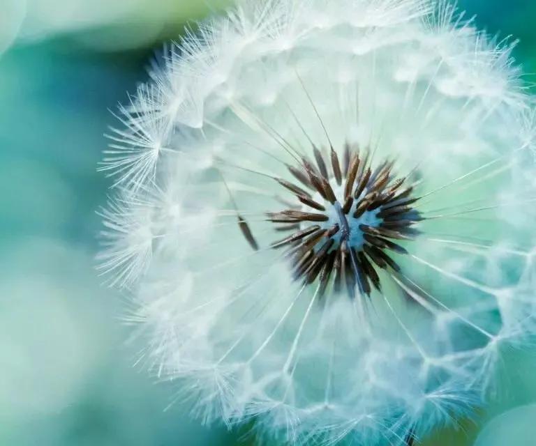 暖心正能量的句子，激励积极向上，好好生活