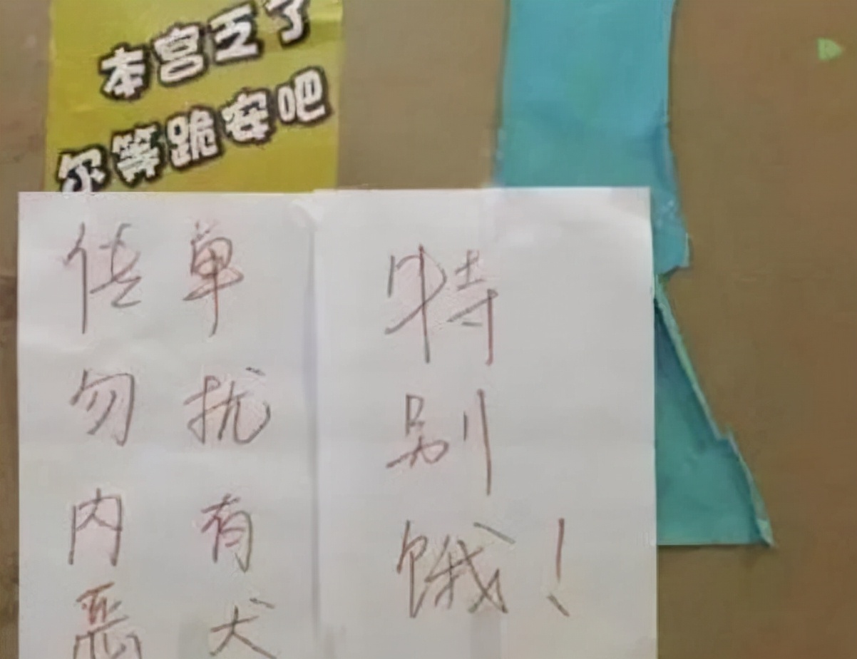 为阻挡学姐推销，大学生煞费苦心，寝室奇葩标语叫人憋不住笑