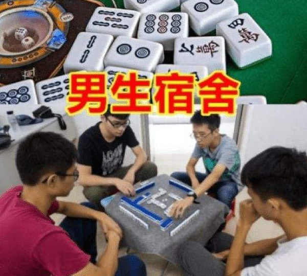 “五花八门，层出不穷”，大学生寝室“违禁品”，一个比一个有才