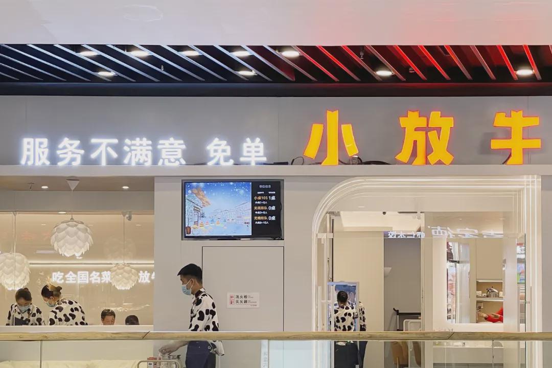 蹭海底捞会被告，“吃女性软饭”会翻车，11月大型撕扯现场