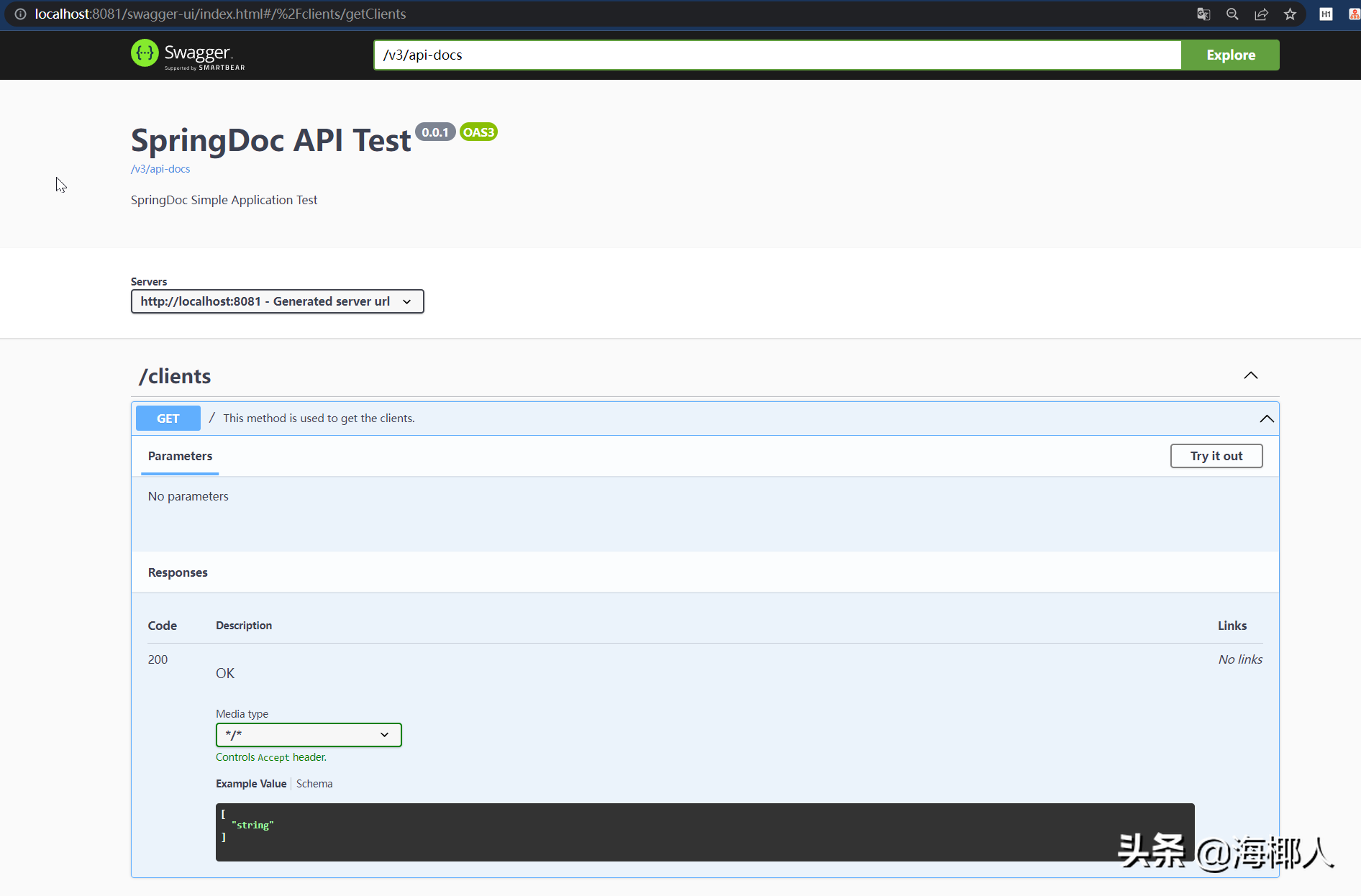springdoc-openapi 食用指南