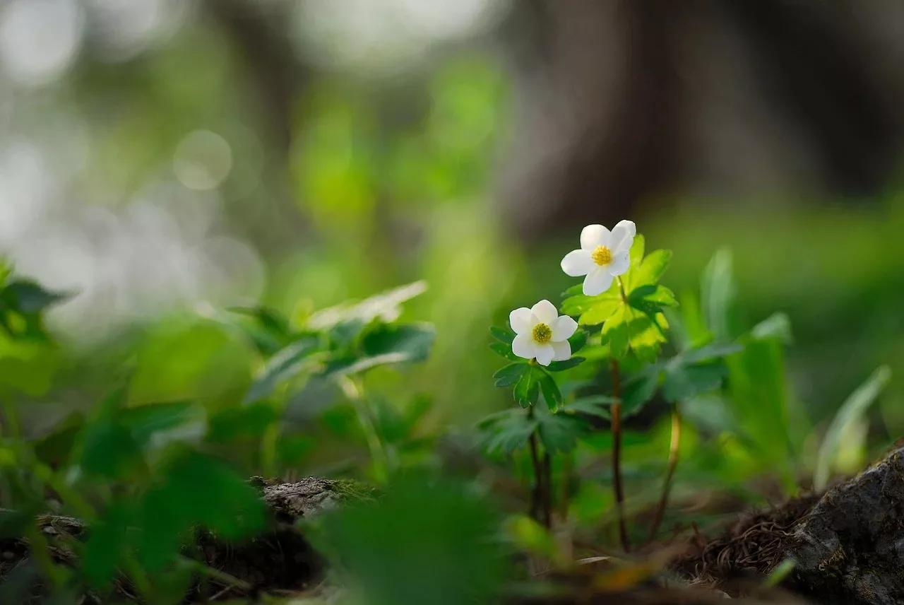 卸载满身的疲惫,忧伤全归格式化,灵魂在云淡风轻中铺满全屏