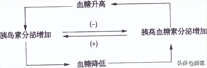 他俩都甜到被怀疑是绯闻变前任了，怎么还有人注意到她肚子没收住