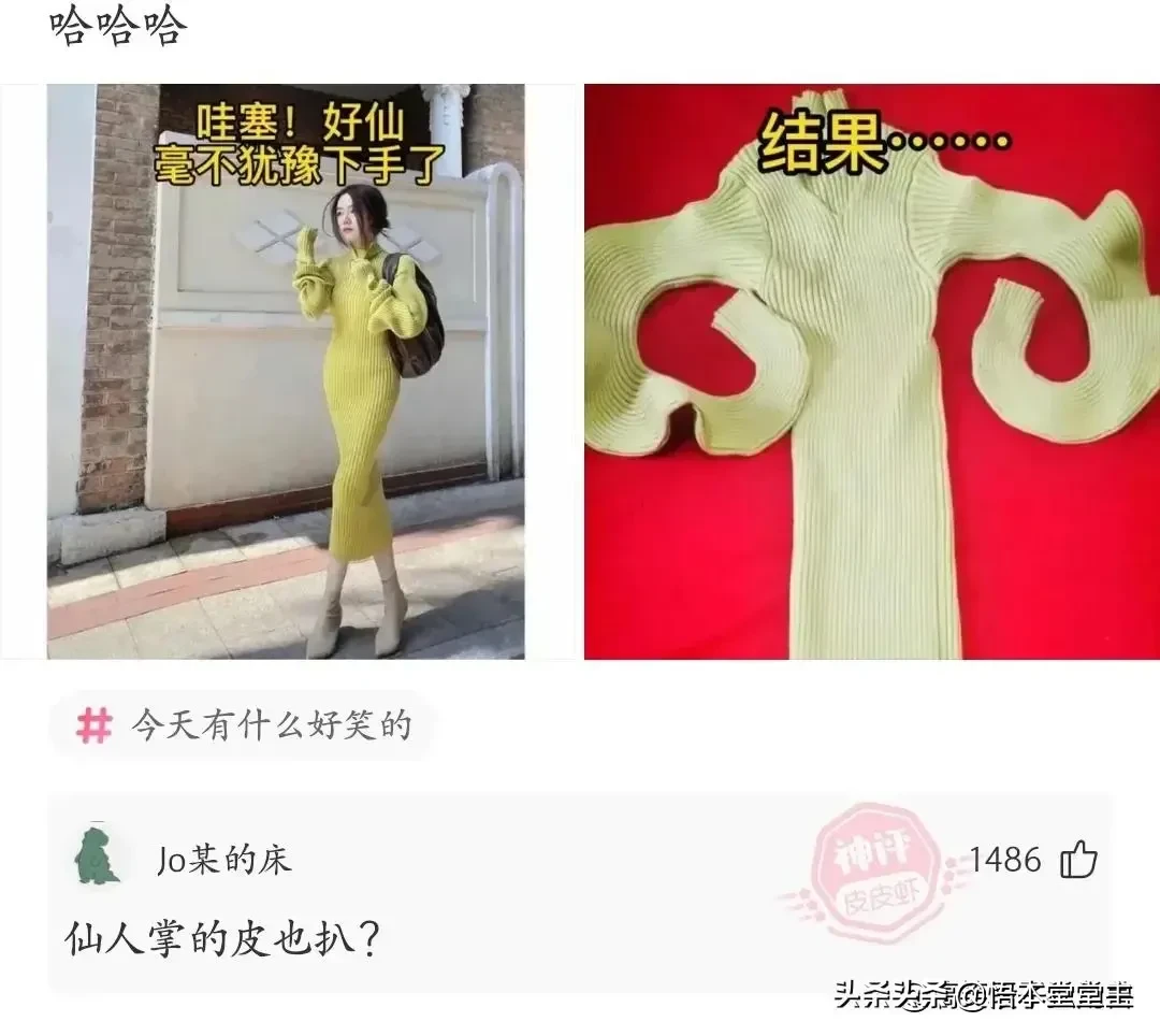 搞笑聊天：王大爷这次找对律师了