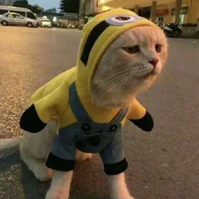 头像：既有内涵有不失幽默的头像