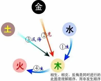 中医的五行的相生、相克和制化的关系