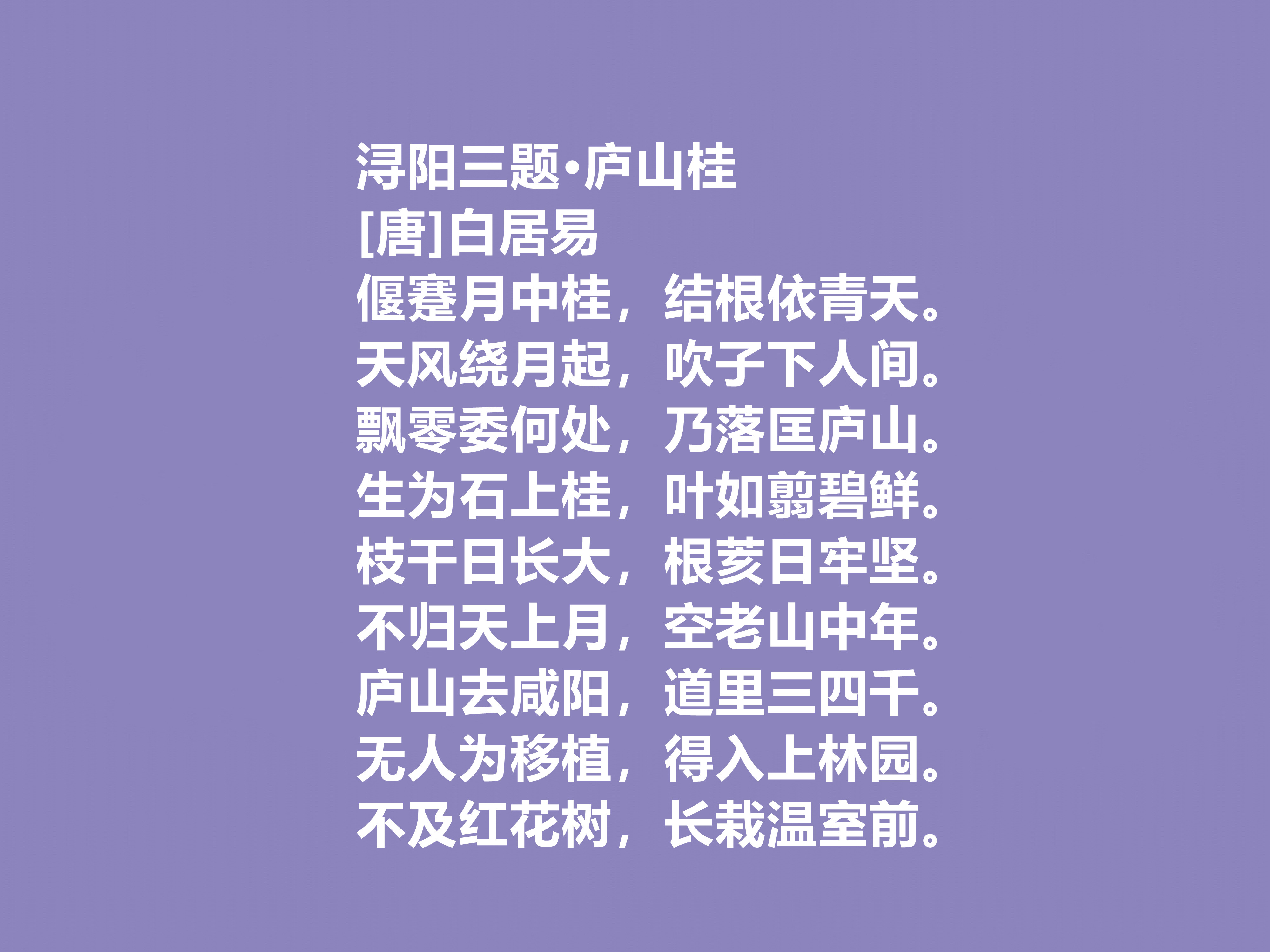 唐朝诗坛名家，白居易十首讽喻诗，针砭时弊，正义感浓厚，太好了