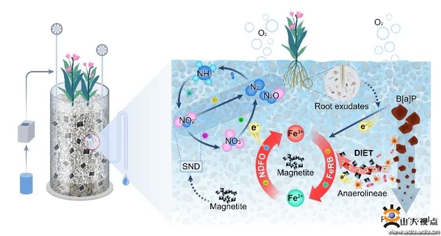 请查收！山大最新学术一览