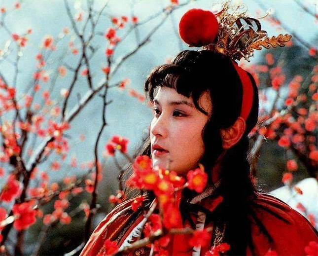 贾宝玉的最终结局并不是去当和尚(贾宝玉最后当和尚了吗) - 趣味头条