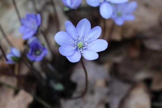 亲情的“等价交换”，最真实！别不信