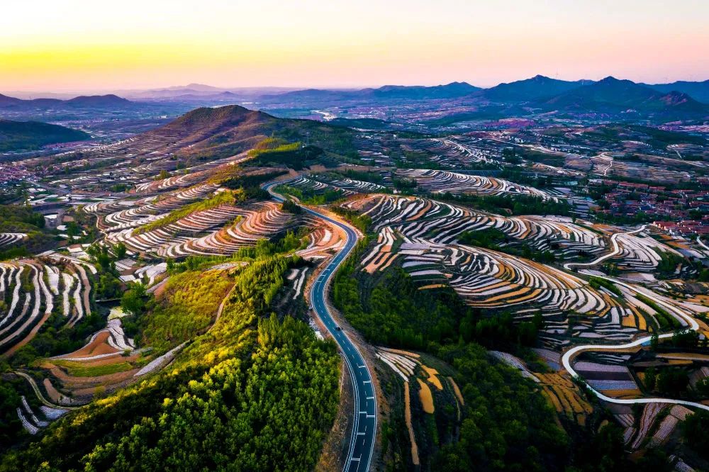 借得春风向未来——山东蹄疾步稳推进乡村振兴四年掠影