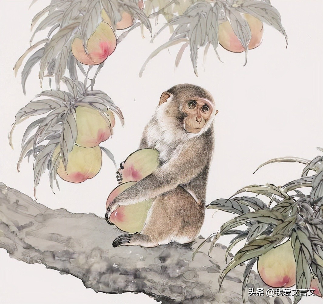 经典文言文赏析 | 楚人养狙