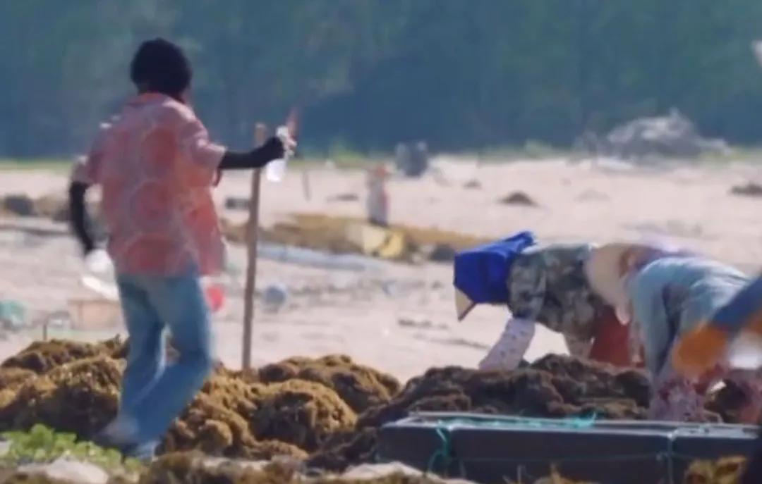 张子枫绝对是娱乐圈20后的一股清流，这样善良的妹妹值得大家喜欢