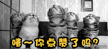 盘点豆瓣评分最高的美剧TOP，均分9.5！哪部是你的最爱？