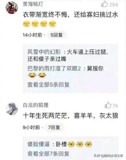 神回复：汪汪队集体病假，有事不要呼叫莱德