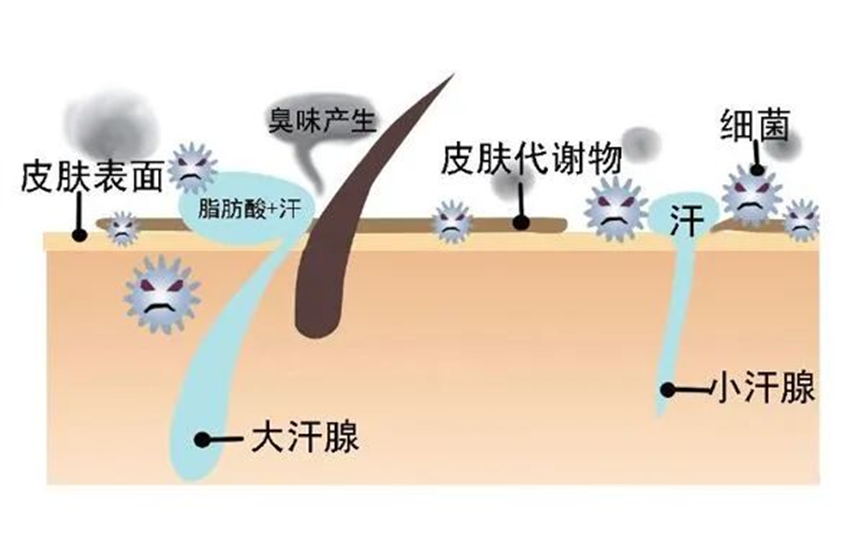 你没看错，医美界的宠儿“肉毒素”真的有剧毒