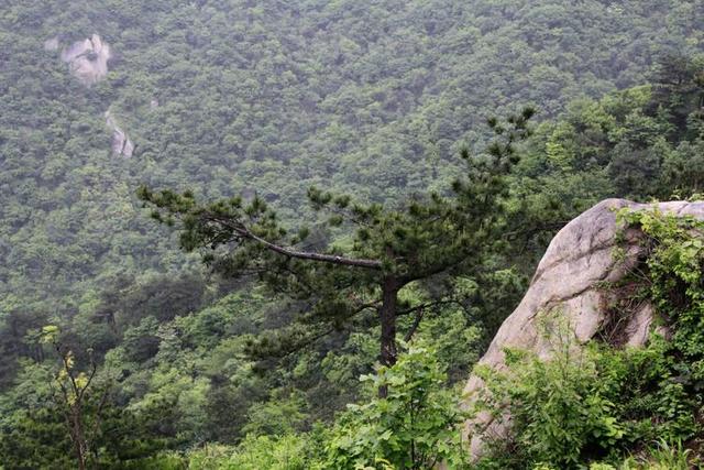 河南这5个精美又小众的旅游地，风光独特，今年春天不要错过了