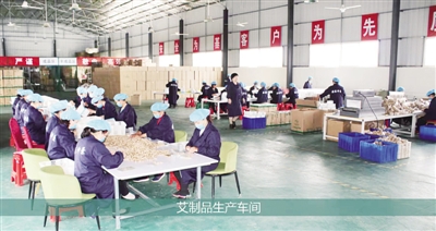 传承弘扬仲景文化 建设中医药新高地——南阳市打造“两地一都”行动方案解读