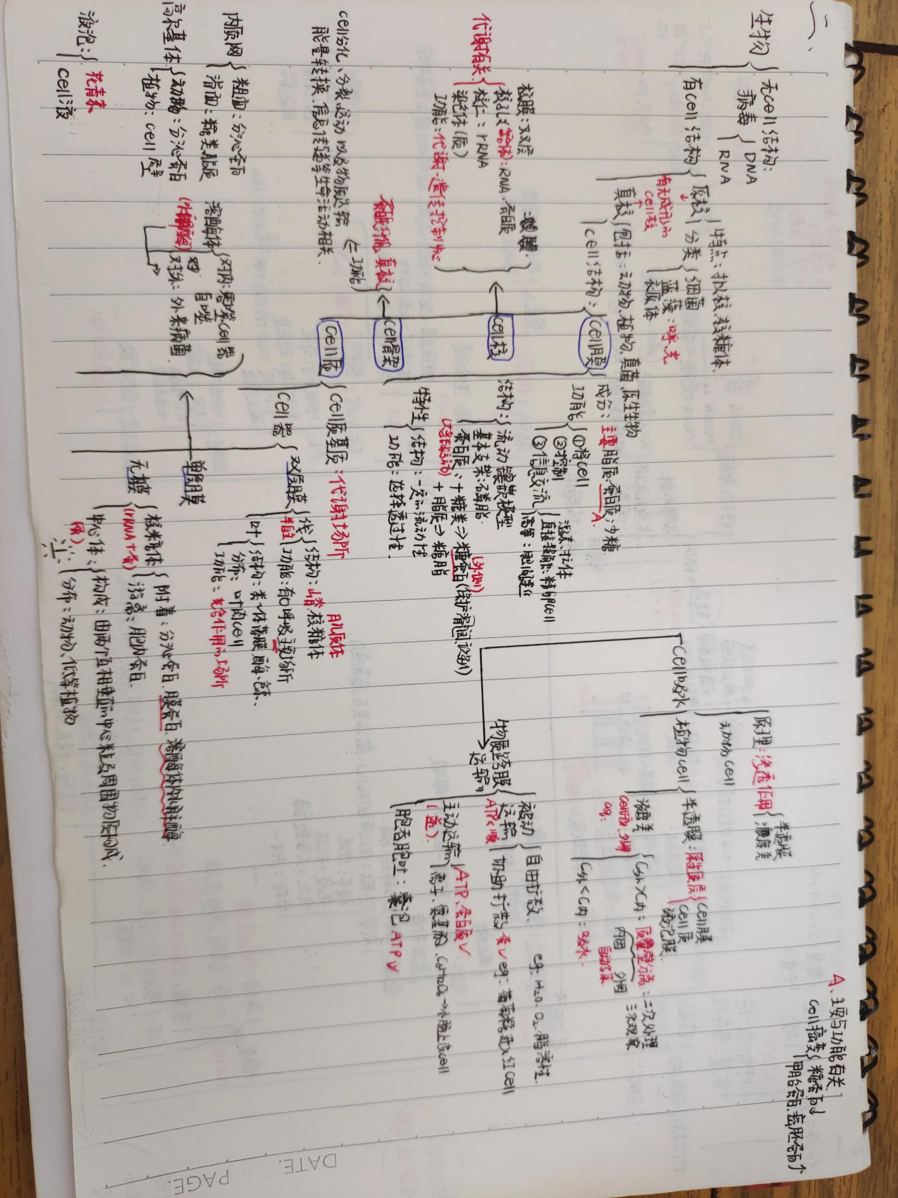 高考各科复习攻略，送给想要提高成绩的你
