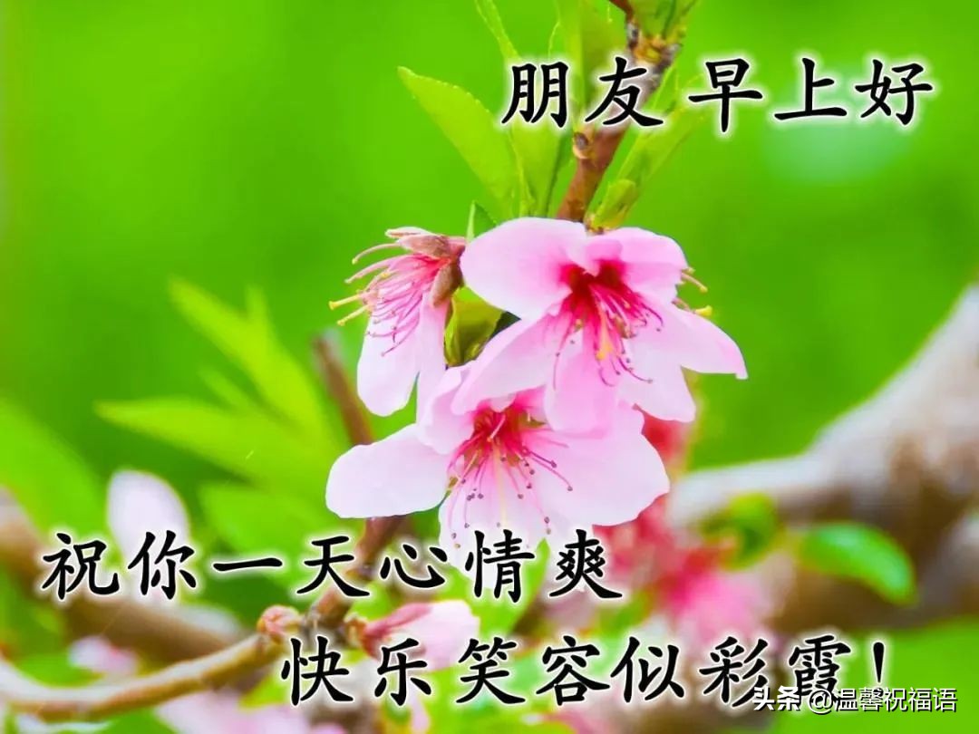 最美春日风景早安图片带祝福语 好看的朋友圈早安问候图片带字温馨