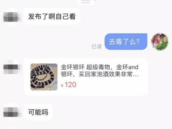 我国陆地最毒的蛇，曾让专家“打飞的”送解药，它有多毒？