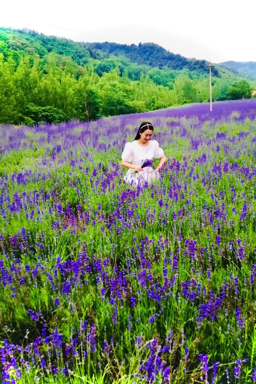 花开河东春来早｜花满闻喜，如画新绛！去看百花盛开的诗和远方！