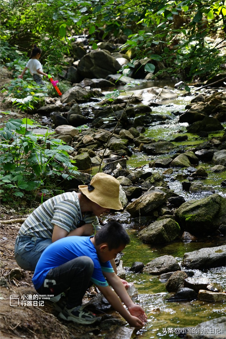 这条秦岭沟谷，一进山就能看到美景，老人、孩子来玩也合适