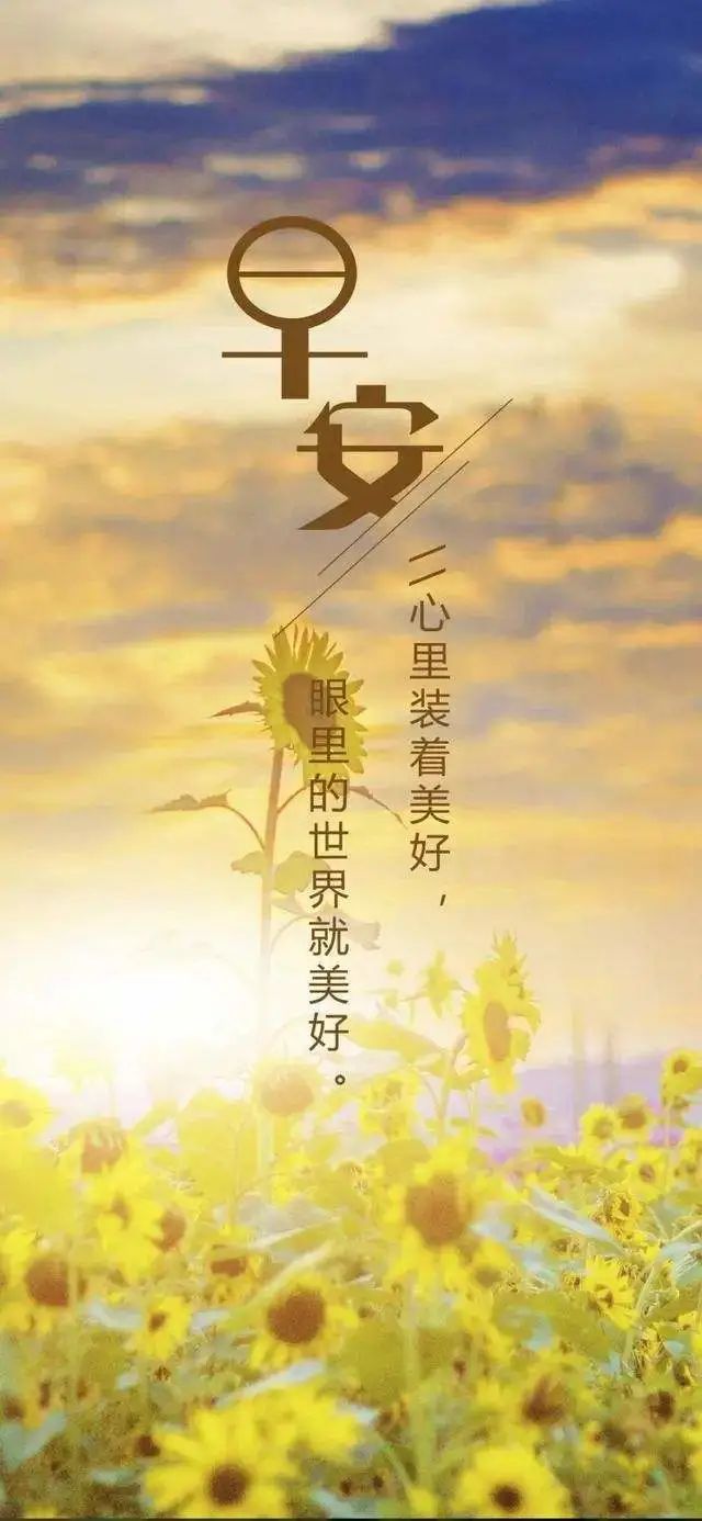 鲜花带来的好心情句子有哪些?