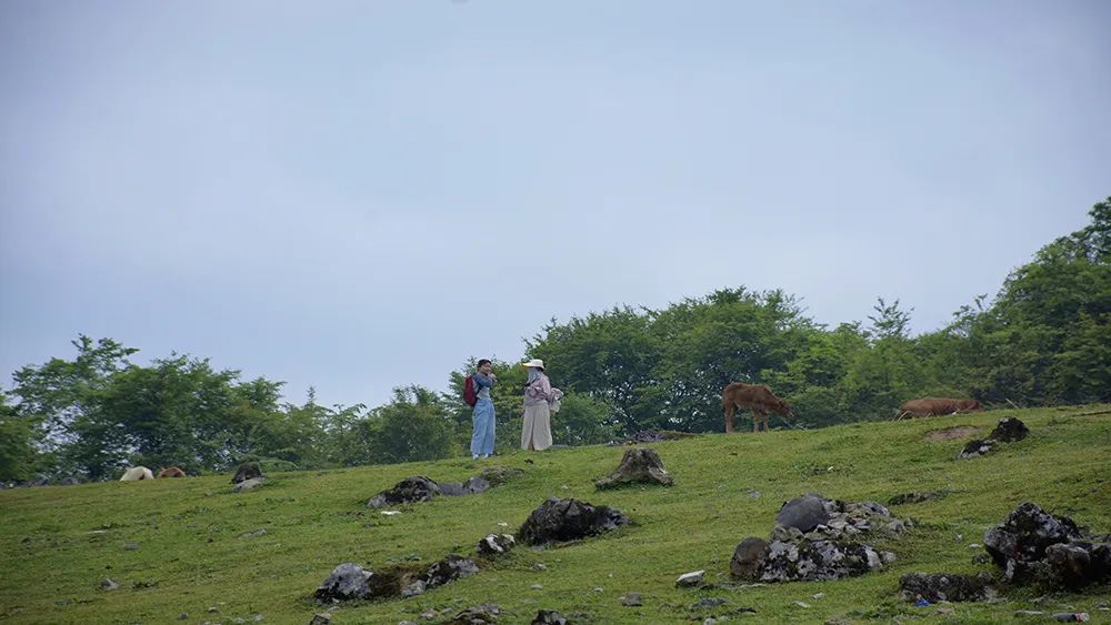 7月去哪儿？被这25处或小众、或惊艳的清爽旅行地，拿捏了