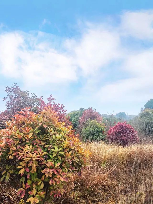 “光棍”爹爹（下）