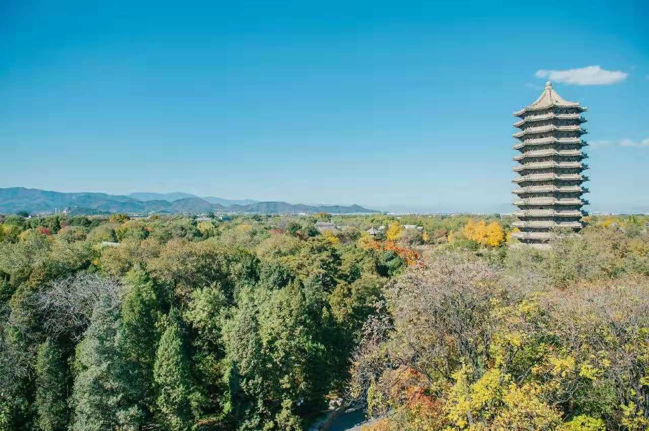 医学类高校梯队划分，真正反映学校实力，值得学生报考