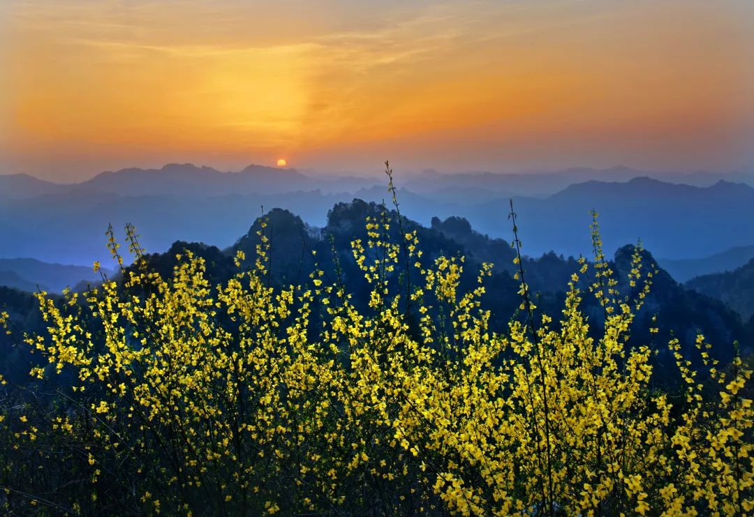 武当山图片风景图片(满园春色) - 赤虎壹号