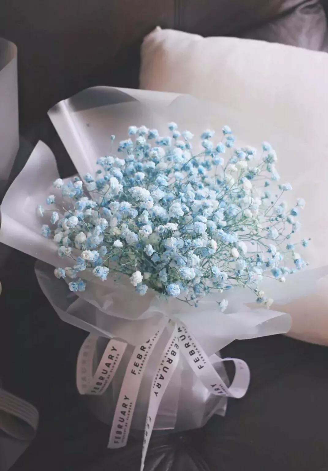 满天星花语,寓意