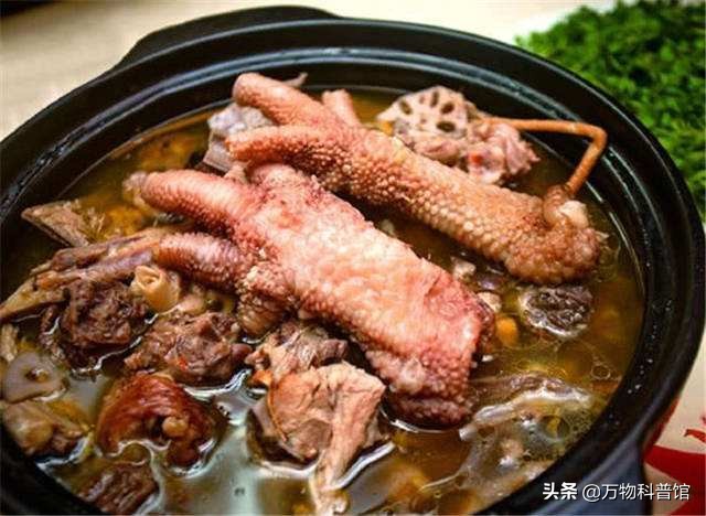 世界上什么鸡最贵？价值不菲的五大“鸡中贵族”，一只鸡值一套房