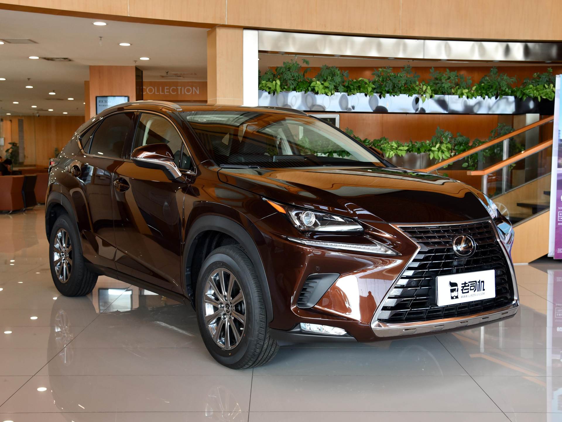 原装进口的中型SUV，油耗低价格实惠，实拍雷克萨斯NX
