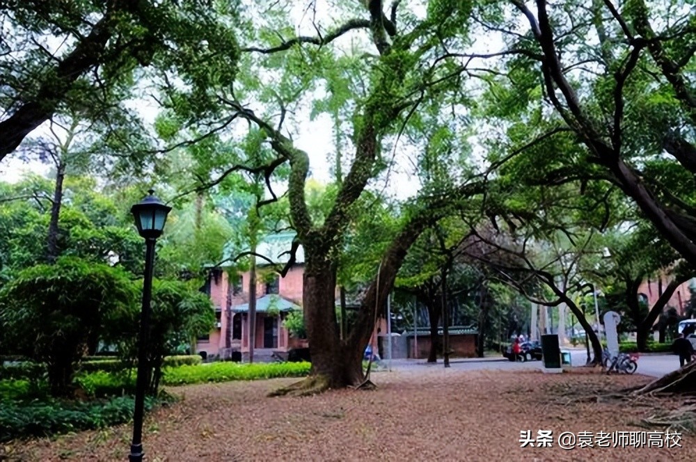 中山大学与厦门大学，同为南方知名985大学，哪个实力更胜一筹？