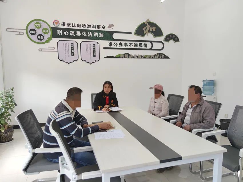 【为群众办实事示范法院】师宗：非诉调解的日常