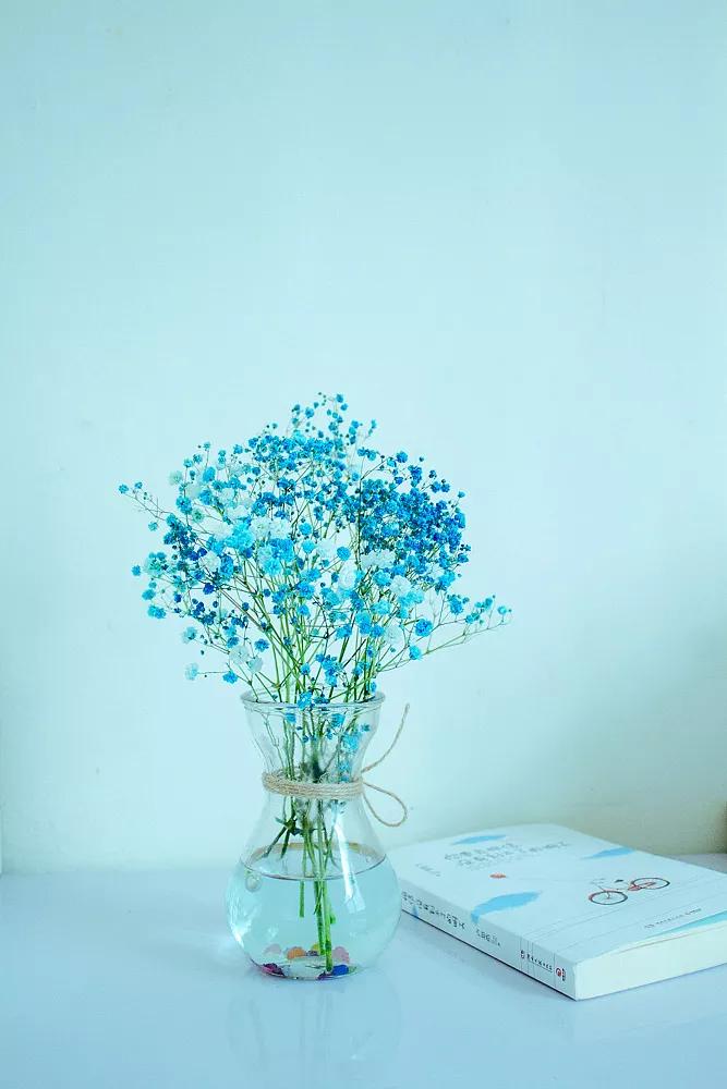 满天星花语,寓意