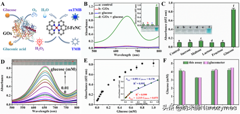 Anal. Chem. | 基于金属-氮-碳纳米酶构建多酶级联反应传感平台