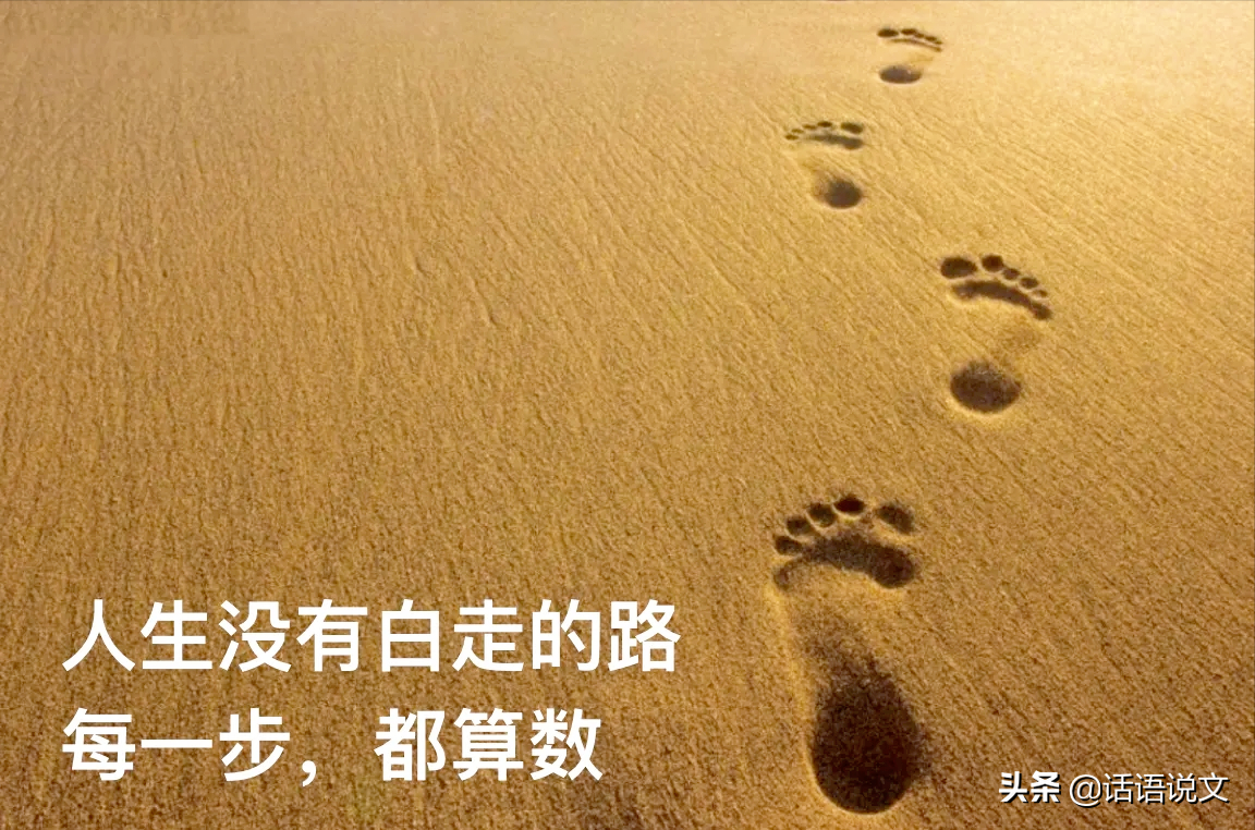 2022年高考作文预测︱思辨“应该打造怎样的人生”（含满分作文及写作技巧）