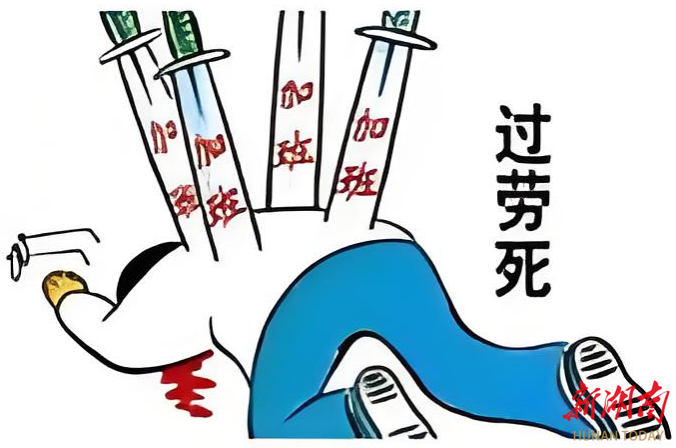 突破“班味”重围，养生茶重启生活平衡键